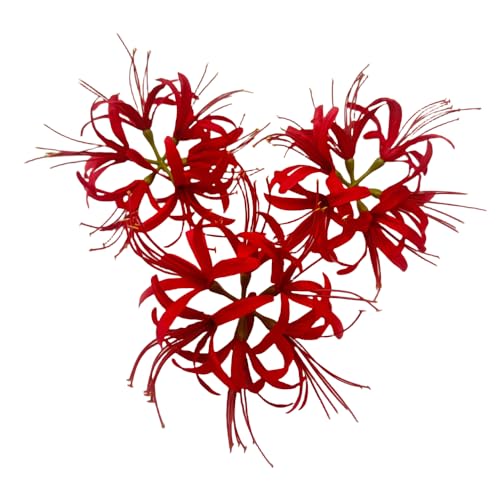 3Pieces Silk Spider Plant Fake Flowers Heads,Artificial Flowers Spider Silk Flowers for Crafts,Fake Flowers Bulk,Artificial Flowers for Cake Decoration Wedding Party Birthday Home Décor(Red) - color: Red