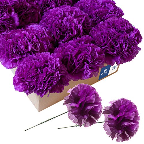 Royal Imports Artificial Carnations, Silk Faux Flowers, for Funeral Arrangements, Wedding Bouquets, Cemetery Wreaths, DIY Crafts - 100 Single 5" Stems - Purple - color: Purple