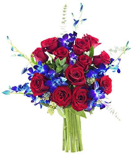 KaBloom -Symphony Roses and Orchids Bouquet of 12 Red Roses,5 Blue Orchids and Lush Greens - Fresh Flowers for Birthday, Valentine's & Mother's Day