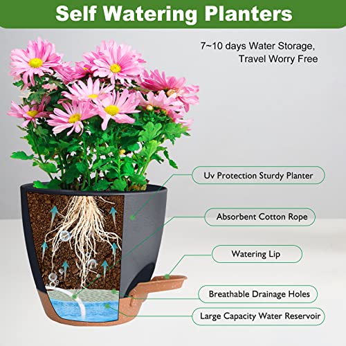 Vanslogreen Plant Pots Pack of 5, 7/6.5/6/5.5/5 Inch Self Watering Planters with Drainage Hole Planter for Indoor Plants, Planting Pots for African Violet, Ochid and House Plants (Black) - color: Black-5pack, size: 7/6.5/6/5.5/5 inch