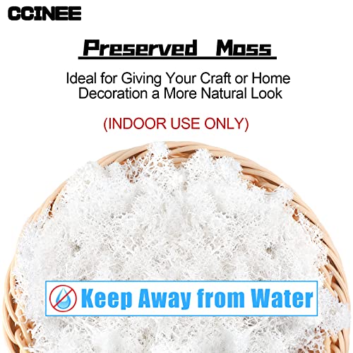 CCINEE Moss Preserved, 4 OZ Fake Reindeer Moss for Potted Plants for Craft Arts Floral Wall Decor Wedding Centerpieces Fairy Garden Artificial Terrariums Decoration for Christmas(White) - color: White