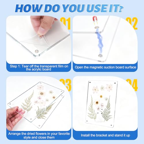 Clear Acrylic Magnetic Pressed Flower Frame, Double Panel Floating Frame for Dried Flower Display, Easy-Open Magnetic Acrylic for DIY Art, Home & Office Wall Décor Gift (Transparent 2Pcs, 4X6in) - size: 4X6in