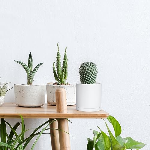 D'vine Dev 2 Pack 4 Inch Modern Plastic Plant Pots, Small Garden Planters for Plant with Drainage Holes and Saucers, White Color, 74-Z-E-1 - size: 4"