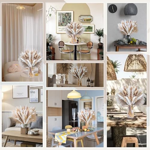 440PCS Natural Pampas Grass Mix Bouquet | Dried Pampas Bouquet for Wedding Boho Flowers Home Table Decor Desk Decor, Rustic Farmhouse Decor (440PCS) - size: 440PCS