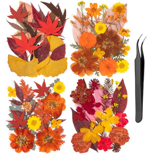 78 Pcs Fall Dried Pressed Flowers with Tweezer, Fall Themed Real Dried Flowers Leaves for DIY Crafts Resin Molds, Yellow Orange Dried Flowers for Autumn Halloween Thanksgiving Decorations - size: Orange
