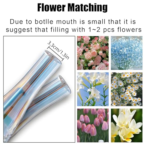 8.3'' Single Flower Vase, Small Glass Bud Vase Clear Single Stem Rose Vase, Colorful Tall Skinny Vases for Flowers Centerpieces Wedding Party Home and Office Décor