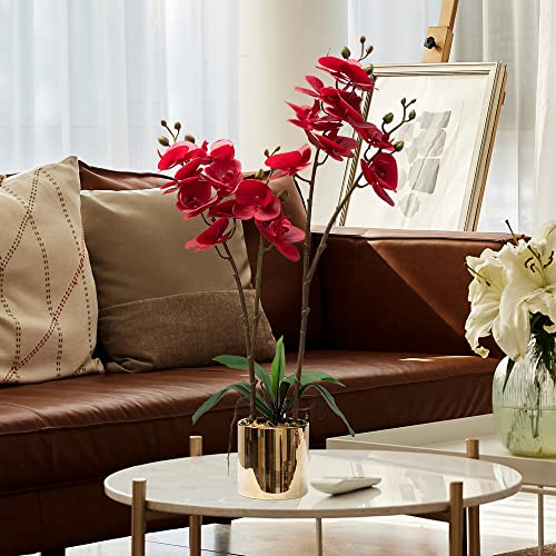CXGS Artificial Orchid Flower Plant Real Touch Faux Orchids in Ceramic Vase Red 19.7'' Fake Phalaenopsis Flower Arrangement Centerpiece Home Indoor Decor - color: Red- Golden