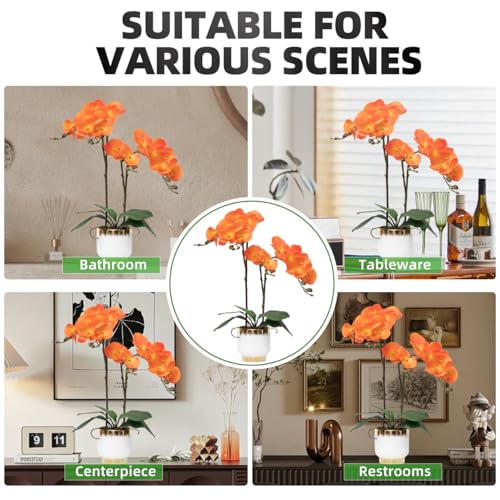 CXGS Orchids Artificial Flowers Real Touch Fake Flowers in Ceramic Pot 20" Orange Faux Orchid Plant Lifelike Silk Phalaenopsis for Centerpiece Hotel Home Indoor Decor - color: Orange- White Gold Vase