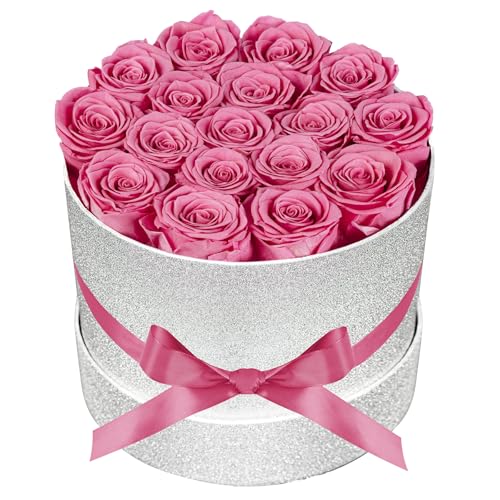 Prifroti 17 Pink Flowers in Glitter Box, Birthday Gifts for Women, Preserved Flowers, Mothers Day Roses Gift for Mom - color: Pink | Glitter Box, size: 17 Roses