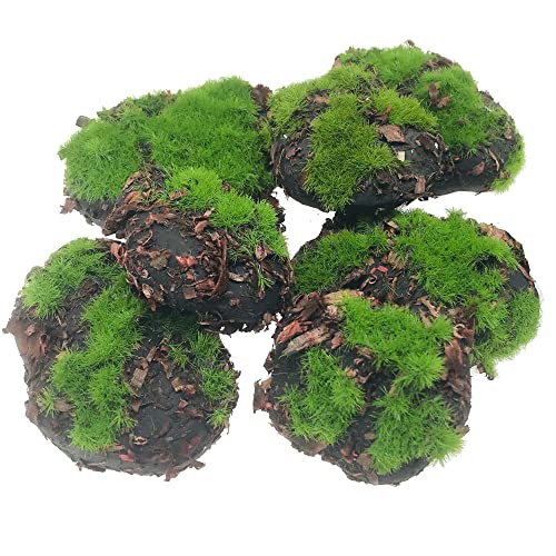 Woohome 38 PCS Faux Moss Stones Artificial Moss Rocks Decorative, 30 PCS Faux Green Moss Covered Stones und 8 PCS Sawdust Moss Decor for Fairy Gardens, Floral Arrangements, Crafting - color: 38 Pcs Sawdust-a