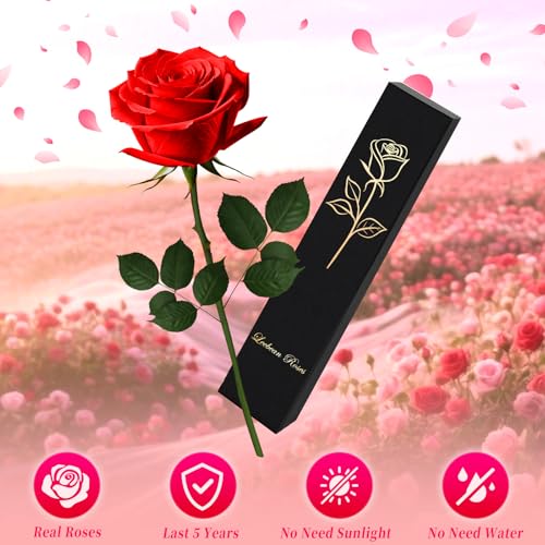 Single Forever Roses Luxury Gift for Women/Men, Birthday Gifts for Women,Flowers Gifts for Girlfriend,Wife,Mom,Anniversary,Valentine's Day,Wedding,Graduation,Presents for Her,Red - color: Red