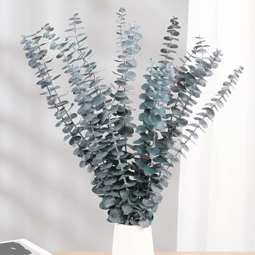 16 Pcs Dried Eucalyptus Stems, 17'' Natural Fresh Eucalyptus Leaves Branches Hanging for Shower, Preserved Real Blue Plant Live for Home SPA Wall Bathroom Wedding Party Vase Decor - color: Blue