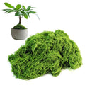 Fake Green Moss for Potted Plants Indoor, 5.3oz Artificial Moss for Crafts, Faux Decor for DIY Decorative, Model Making, Walls, Glass Containers