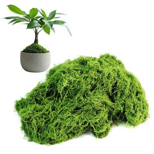 Fake Green Moss for Potted Plants Indoor, 5.3oz Artificial Moss for Crafts, Faux Decor for DIY Decorative, Model Making, Walls, Glass Containers