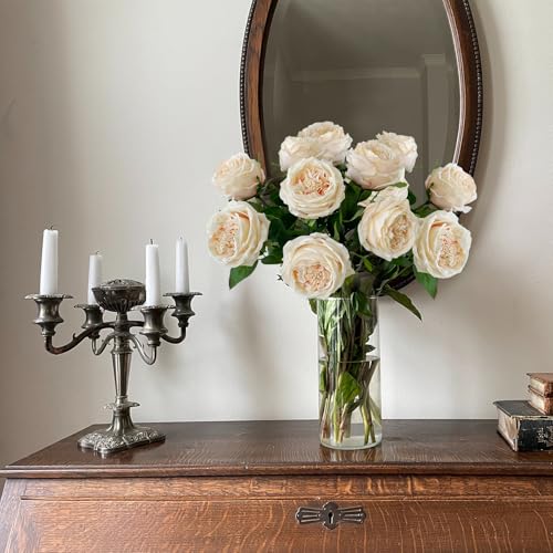 YalzoneMet 3.5'' Big Bloom Champagne Rose Artificial Flowers 4Pcs Real Touch Rose Faux 17.7Inch Long Stem Austen Roses Peonies Fake Flowers for Boho Home Kitchen Party Spring Flower Wedding Decor - color: Champagne