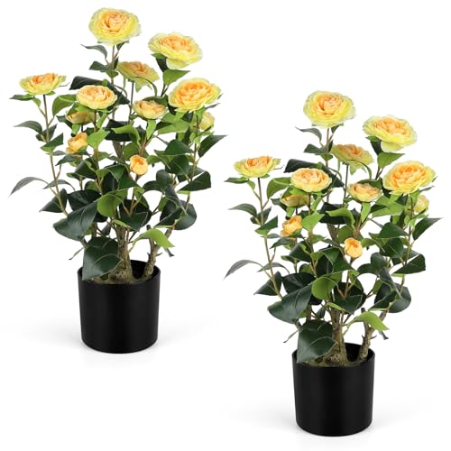 Romantic Season 2FT Yellow Artificial Camellia Tree 2Pack, Faux Camellia Plant Fake Potted Camellia Flower Tree for Modern Home Office Living Room Floor Décor - color: Yellow, size: 2FT