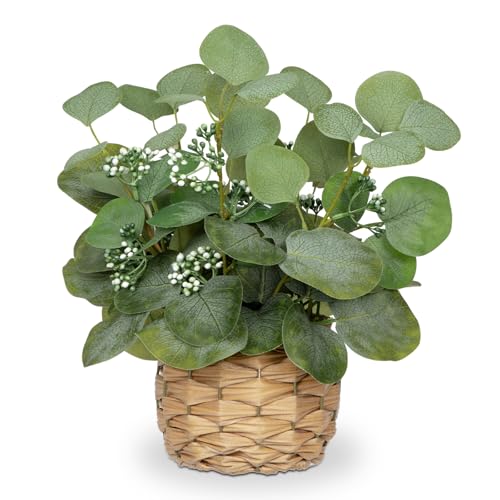 DILATATA Artificial Eucalyptus Stems in Woven Basket Planter, 12" Fake Plant Eucalyptus Leaves with Green Seeds Faux Potted Plant Greenery for Table Centerpiece Office Indoor Home Decor - color: Style#2