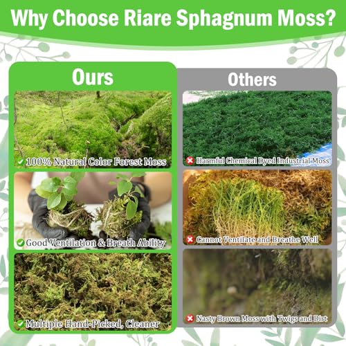Riare 7OZ Premium Sphagnum Moss for Plants- 10QT Natural Dried Plant Moss for Potted Plants, Orchid Moss for Repotting, Soft Green Decorative Moss for Succulents, Reptiles & DIY Crafts - color: 10 QT(Appx.7oz)
