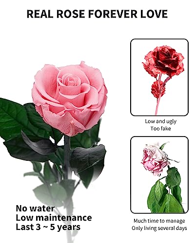 Coral Pink Flowers for Delivery Prime, Preserved Pink Roses Flower Gifts for Women, Real Roses Single Rose Gifts for Her, Mom Birthday Gifts from Daughter, Valentines Flowers - color: 08-coral Pink