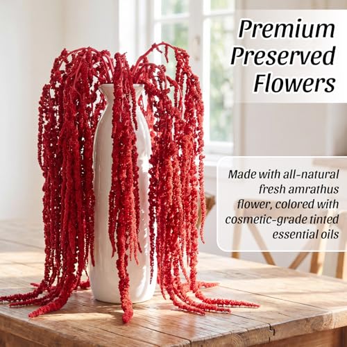Suncalla Bright Red Spring Natural Dried Amaranthus Hanging Flowers Amaranthus Artificial Flowers for Wedding Arch Bouquet Floral Garland Wall Home Decoration (23 Inch,12 Pcs) - color: Bright Red