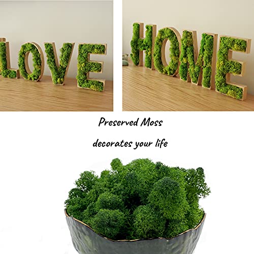 Moss Preserved Artificial Moss 8.8 oz Natural Fresh Green Moss for Craft Arts Floral Project Wall Decor Table Decor Wedding Centerpieces Garden Terrariums Decoration - color: Green, size: 8.81oz