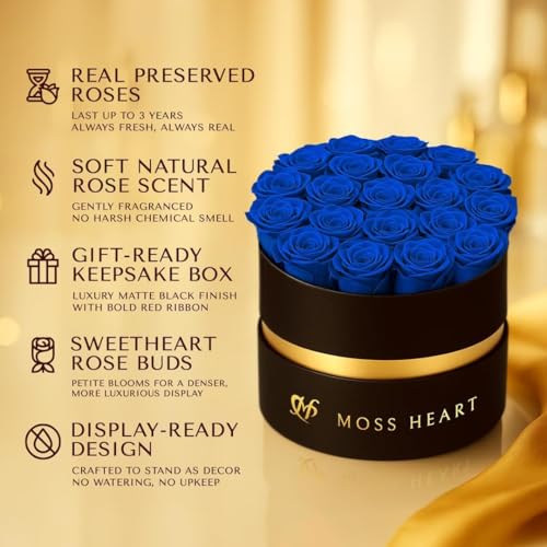 20 Mini Preserved Roses, Round Luxury Gift Box, Real Forever Roses Last 1+ Year, Premium Romantic Gift for Women, Wife, Girlfriend, Mother’s Day, Birthday, Anniversary, Valentine’s Day - color: Royal Blue, size: 20 Roses