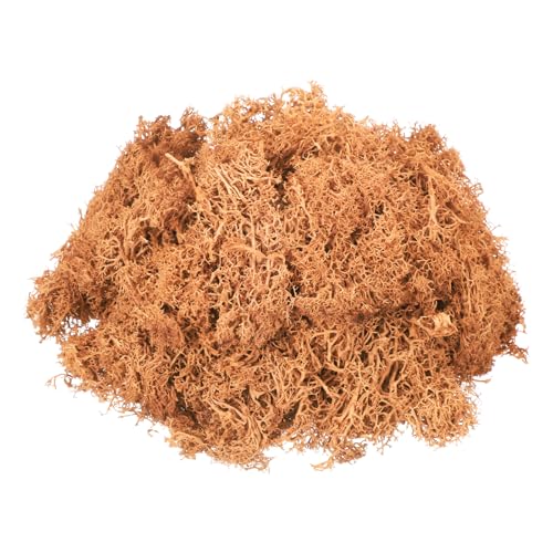 MECCANIXITY 4.6oz Preserved Reindeer Moss, Orange Decorative Artificial Fake Moss for Potted Plants Indoor Crafts Lichen Centerpieces Decor - color: Orange, size: 4.6oz