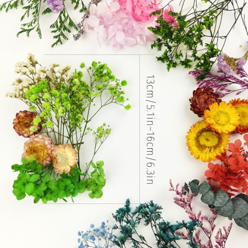 TooGet Mini Dried Flowers 9 Bags Natural Real Small Dry Flower Leaves for Crafts Colorful Mixed Color Dry Wildflowers Plants for DIY Art Candle Resin, Jewelry Crafts, Weeding Home Decorations