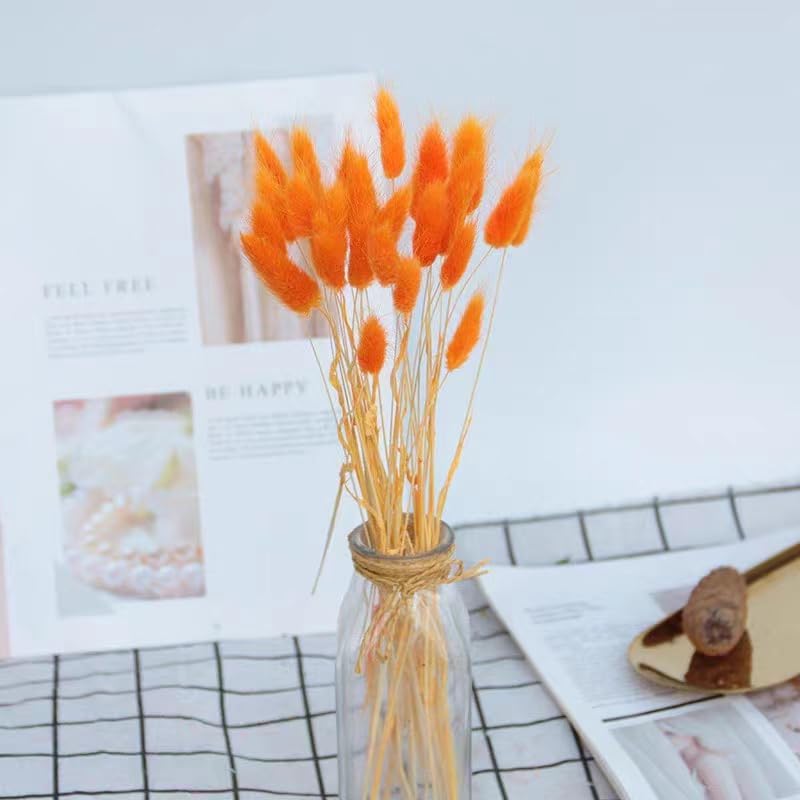 Dried Bunny Tails Flowers Lagurus Ovatus Orange Pampas Grass Natural Dried Floral Arrangement Dry Flowers for Halloween Christmas Boho Decor Home Wedding DIY Craft Decoration - color: Orange
