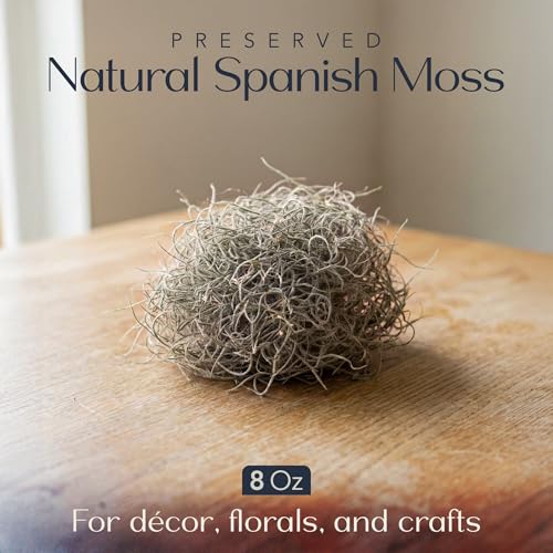 Royal Imports Preserved Natural Spanish Moss, Fresh Dried Shredded Loose Chunks, 8 Oz Bag - size: 8 Oz Bag