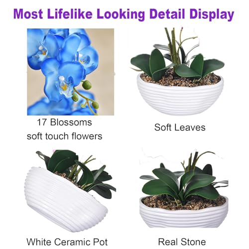 19" H Phalaenopsis Faux Orchid Plant Silk Orchid Centerpiece Artificial Floral Arrangement in Ceramic Pot (Blue) - color: Blue
