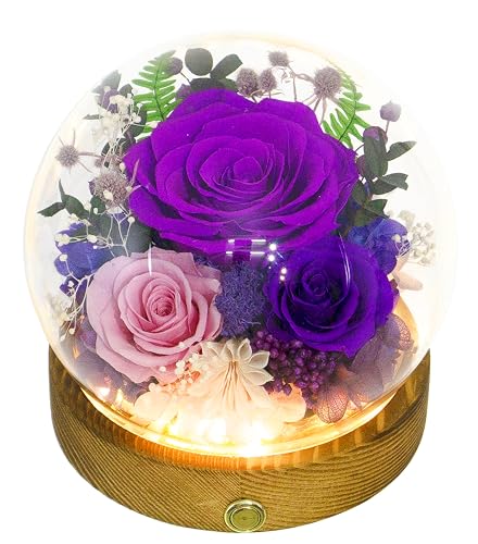 Valley of Rain & Forest Long-Lasting Real Flowers, Unique Floral Gift for You to Send Love for All Occasions, for Indoor Decoration (Dark Purple & Pink Roses Arrangement) - color: Dark Purple & Pink Roses Arrangement