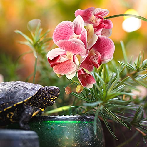 Chuangdi 2 Pieces Artificial Phalaenopsis with Suction Cups Terrarium Plant Decoration Reptile Habitat Plant Decor for Hermit Crab Lizards Geckos Snake Reptile (Dark Pink, White Yellow) - color: Dark Pink, White Yellow, style: Gradient