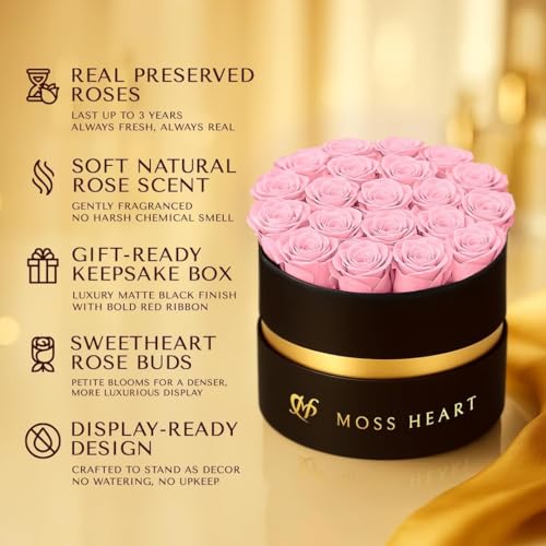 20 Mini Preserved Roses, Round Luxury Gift Box, Real Forever Roses Last 1+ Year, Premium Romantic Gift for Women, Wife, Girlfriend, Mother’s Day, Birthday, Anniversary, Valentine’s Day - color: Light Pink, size: 20 Roses