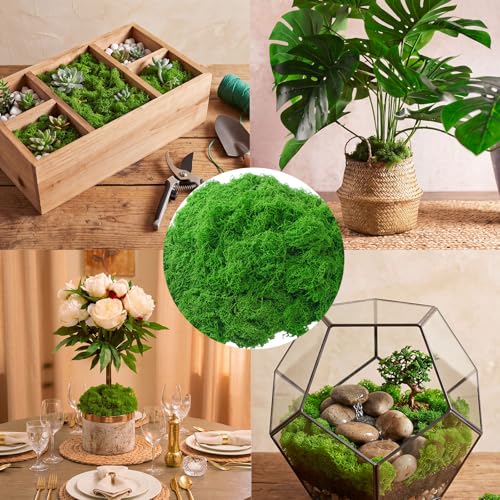 Suncalla Green Artificial Moss for Crafts 43.32oz/2.7lb Fake Green Moss Faux Grass for Potted Plants Indoor Bulk Large Capacity Fairy Garden DIY Decoration Model Making Walls Table Decors Home - color: Green