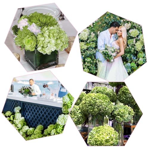 Coferset 3pcs Dark Green Lifelike Hydrangea Artificial Flowers 22inch Real Touch Faux Hydrangea Flower Stem for Home Party Wedding Floral Filler Arrangements Ceterpieces Bouquets - color: Dark Green, size: 3pcs