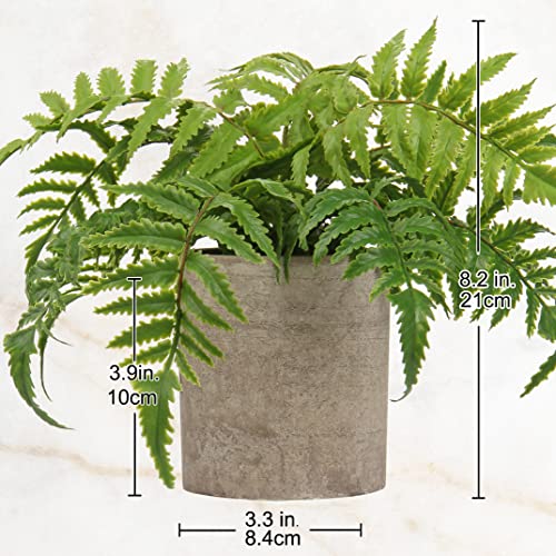 Hollyone Small Fake Plant Potted Plants Artificial Decor Silk Boston Ferns Plant Faux Plants in Pots for Home Living Room Bedroom Desk Bathroom Window Shelf Farmhouse Decoration - color: 1 Pack - Style 2