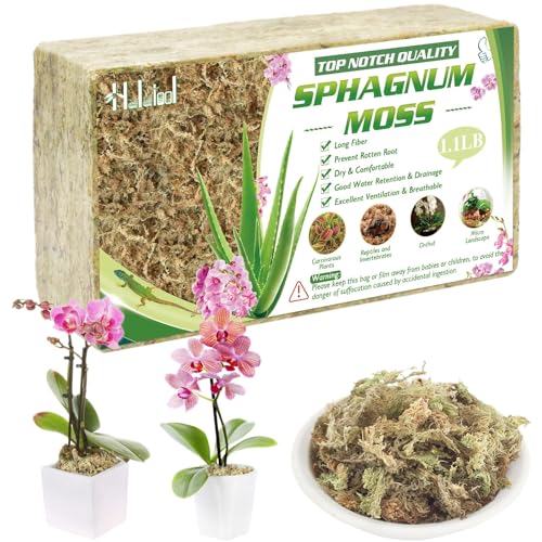 Halatool 1.1LBS Sphagnum Moss for Orchids, Plants, Succulent, Carnivorous, 25QT Natural Dried Long Fiber Sphagnum Moss Bulk for Moss Pole, Moss for Plants Indoor and Outdoor Growing Media - size: 25 qt (1.1 lbs)