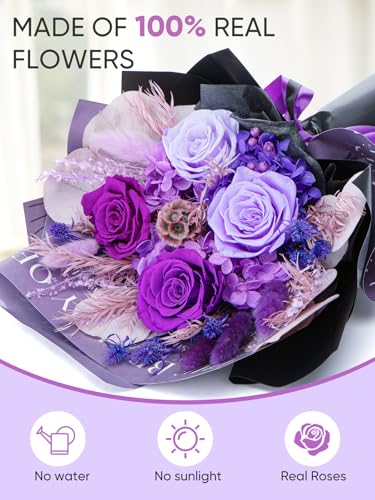 Bessol Flowers for Delivery Preserved Flower Bouquet Forever Fresh Flowers Birthday Gifts for Women Mom Anniversary Red Real Rose Gifts for Grandma Wife Girlfriend Sister Her from Daughter - color: Purple Preserved Flower Bouquet, size: Small