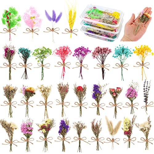 30 Pcs Mini Don't Forget Me Flower Bouquets Purple Natural Dried Flowers Bouquet Dry Flower&Leaves Lavender Dried Embossing Flower Bundles Plant Stem Bunch for DIY Craft,Photo Props,Wedding Decoration - color: 30pack