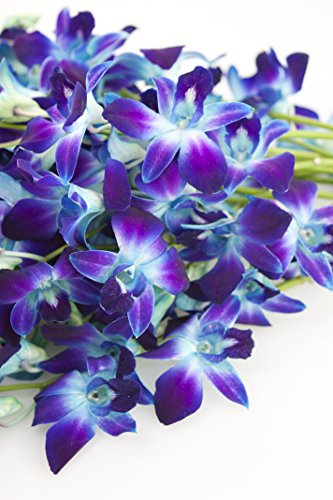 KaBloom-20 Blue Orchid Bouquet,Flowers for Valentine, Mother's Day - color: Blue, size: 20 count, style: With Vase