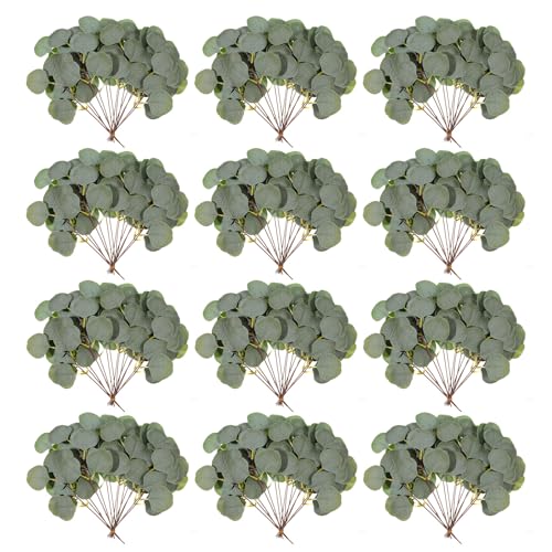 70 Pieces Artificial Eucalyptus Leaves, 11 Inches Tall Silver Dollar Eucalyptus Fake Greenery Stems Faux Plant DIY Bouquets Floral Arrangement Wedding Home Decor