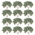 70 Pieces Artificial Eucalyptus Leaves, 11 Inches Tall Silver Dollar Eucalyptus Fake Greenery Stems Faux Plant DIY Bouquets Floral Arrangement Wedding Home Decor