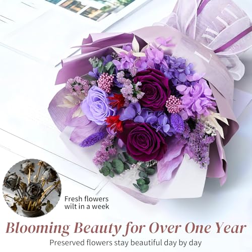 Lewondr Flower for Delivery, Preserved Flowers Bouquet, Purple Roses Bouquet, Real Long-Lasting Forever Birthday Flowers Gifts for Mom Grandma Women Mothers Day Anniversary Christmas, Purple - color: Dark Purple