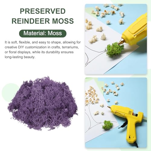 MECCANIXITY 3oz Preserved Reindeer Moss, Dark Purple Decorative Artificial Fake Moss for Potted Plants Indoor Crafts Lichen Centerpieces Decor - color: Dark Purple, size: 3oz