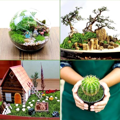 Fake Moss for Plants Indoor, 7OZ Value Pack - Artificial Grass for Crafts, Floral Arrangements & Potted Plants, Natural Moss Alternative for Terrariums (Dark Green+Light Green)