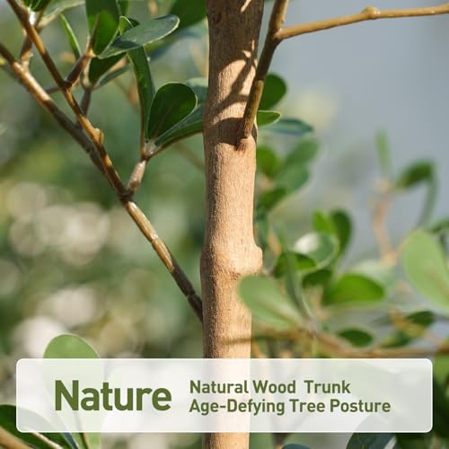 Verinatural Artificial Black Olive Tree 6ft - Shady Lady Real Wood Trunk Faux Olive Trees Indoor Outdoor Decor - Modern Aesthetic Tall Fake Plants with Pot for Home Living Room Patio Floor - size: 6ft
