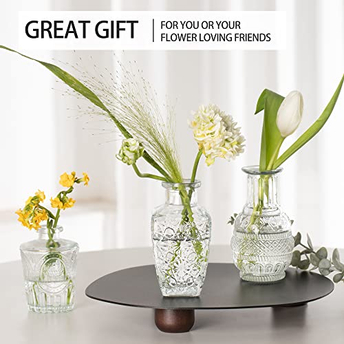 Vintage Small Vases for Flowers Set of 10, Mini Bud Vases for Flowers,Clear Small Vases in Bulk for Centerpieces Decorations,Wedding Party Home Coffee Table Flower Decor (Clear) - color: Clear