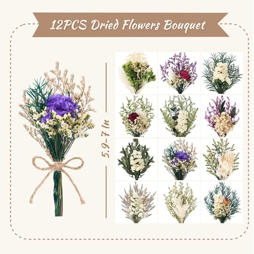 12/24 PCS Charming Dried Flowers Bouquet for Vase Various Dried Wildflowers with Stems Mini Handmade Wildflowers Natural Real Flowers Bulk Flowers Craft (White Series, 12 PCS) - color: White Series
