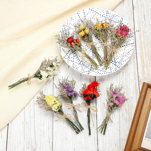PATIKIL Mini Dried Flower Bouquet, 6 Pcs Rose Natural Wildflower with Stem Decor Baby's Breath Boho Floral Plant Flower for Crafts DIY Photo Props Gift Wedding Decor, Beige - color: Beige